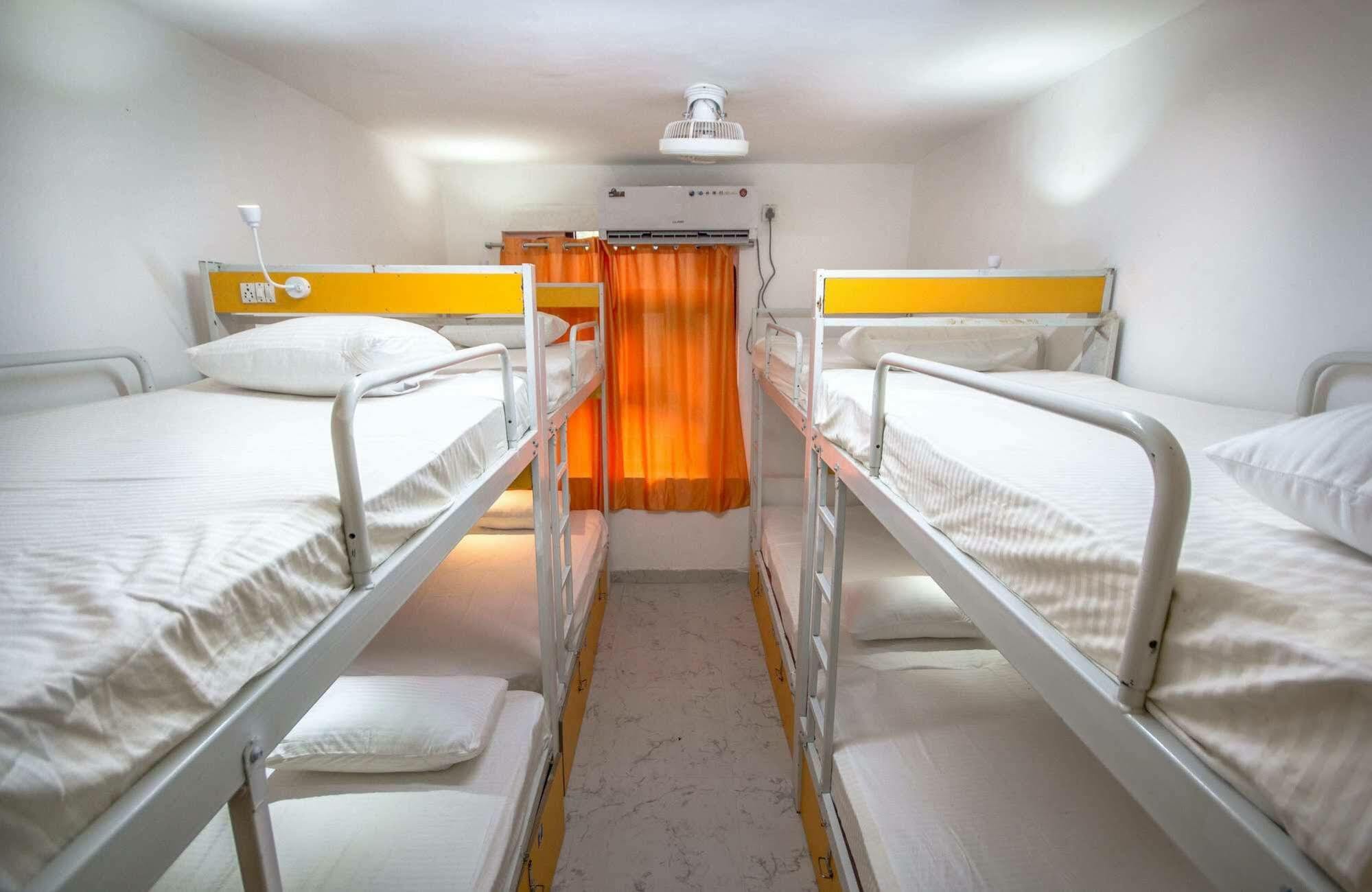 Bunk Hostel Delhi New Delhi Eksteriør billede